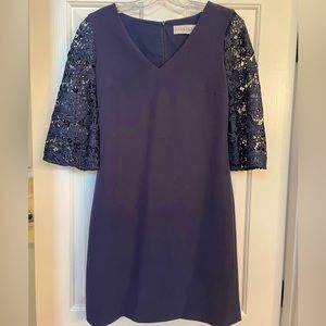 Camilyn Beth Lace Sleeve Dress